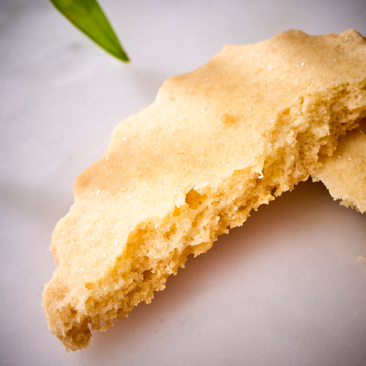 Orange Sable Cookie Gift Pack