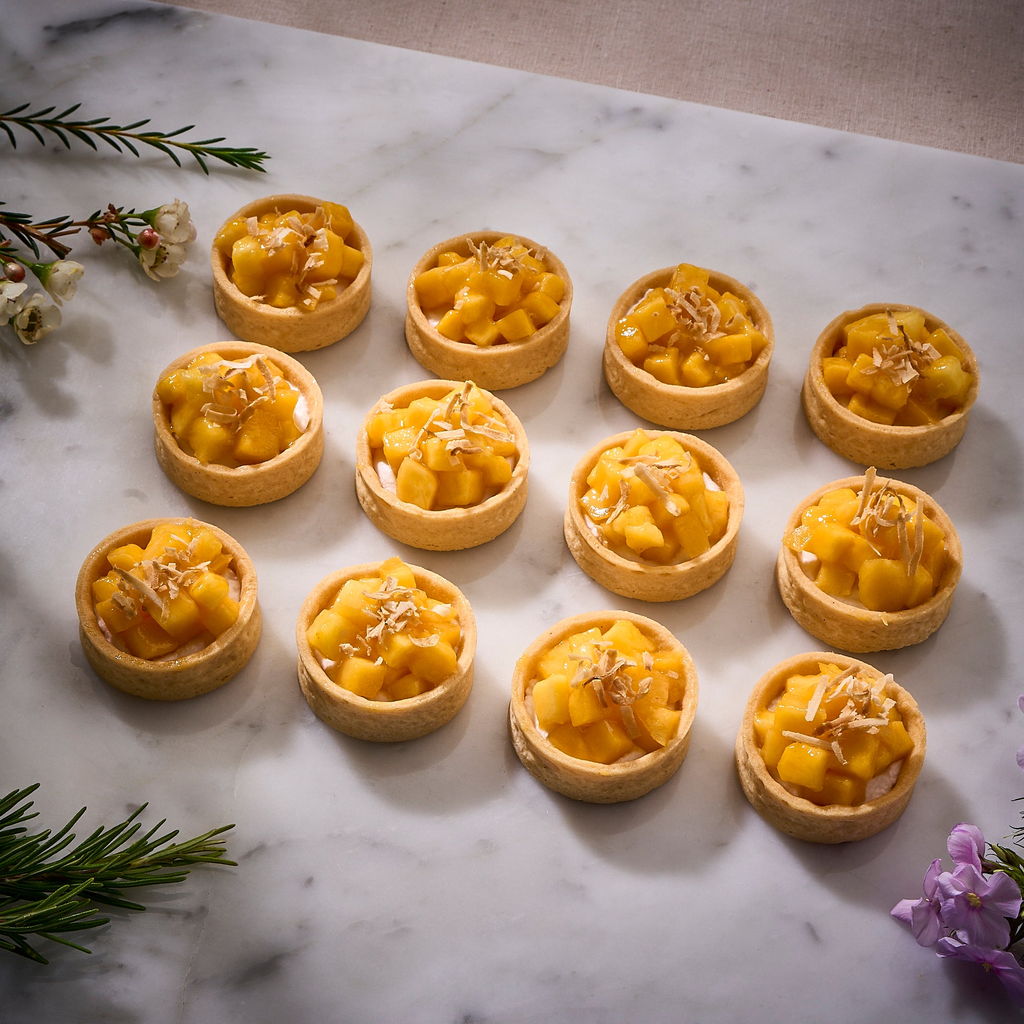Vegan Mini Tarts (Box of 12)