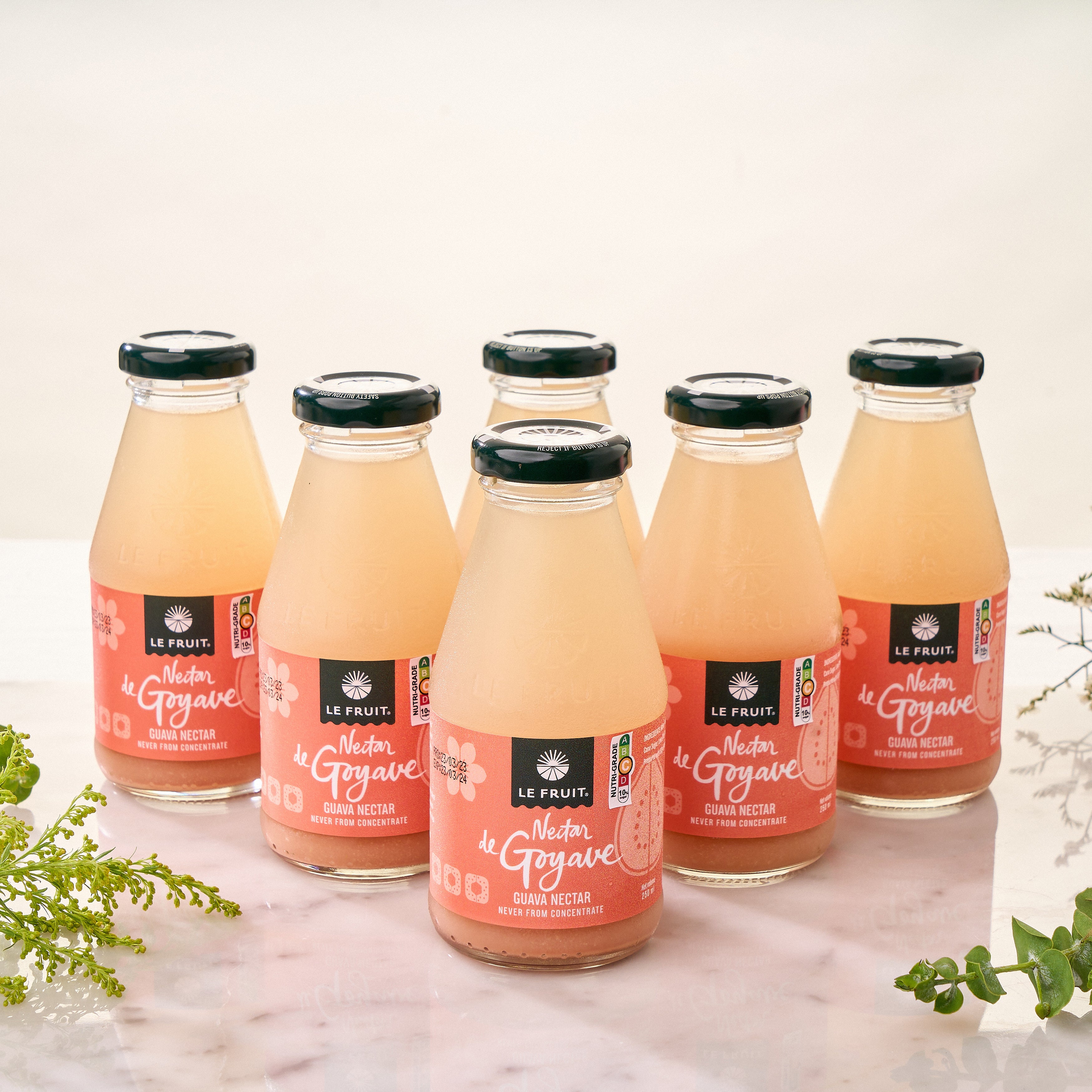 Guava Tag Guava Nectar (Pack of 6) | Halal Catering Singapore – All Things Delicious