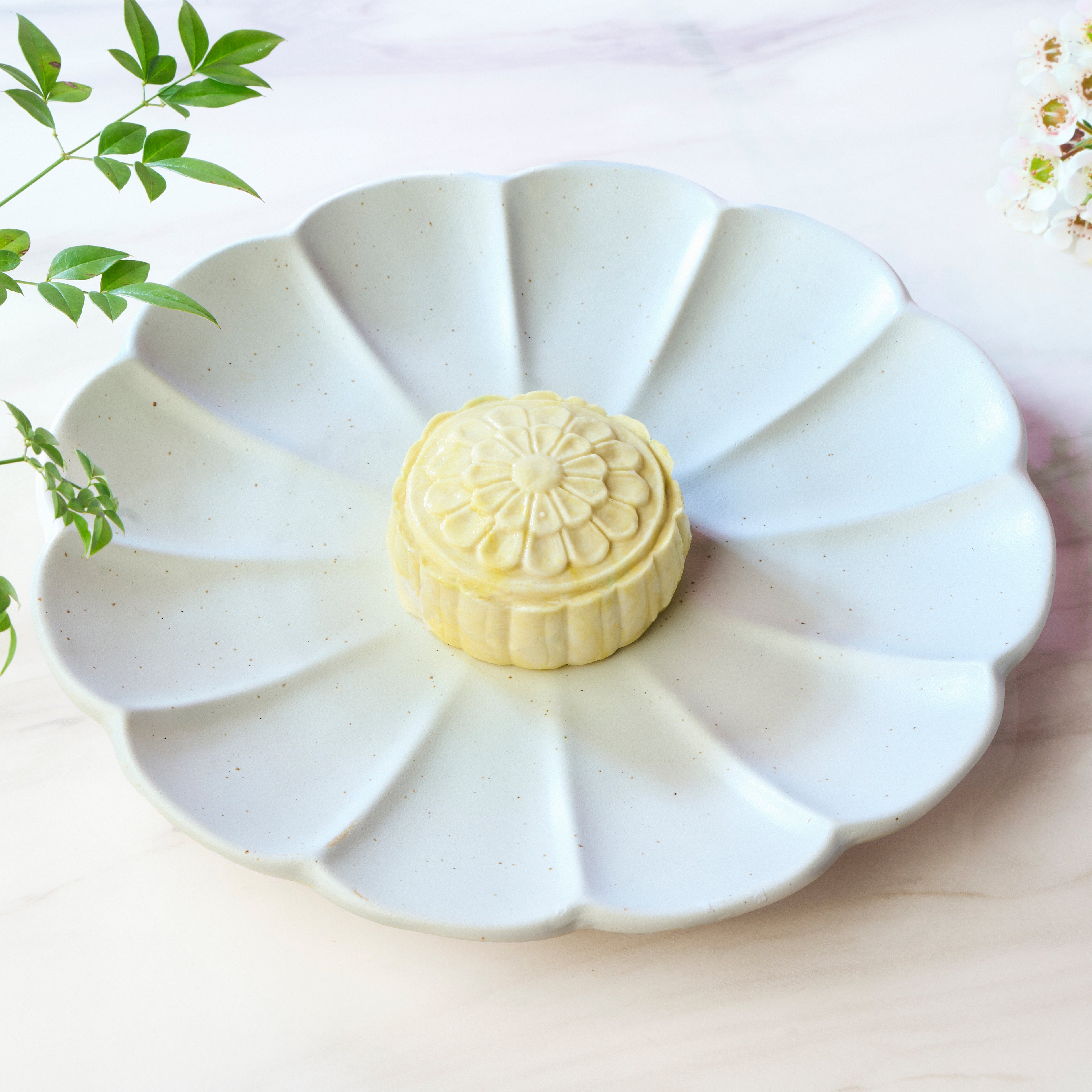 All Things Delicious Snowskin Mooncakes (V)