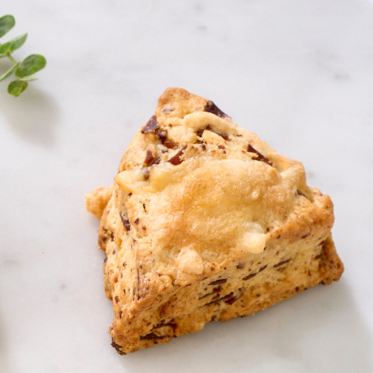 Maple Turkey Bacon & Cheddar Scone (Box of 6)