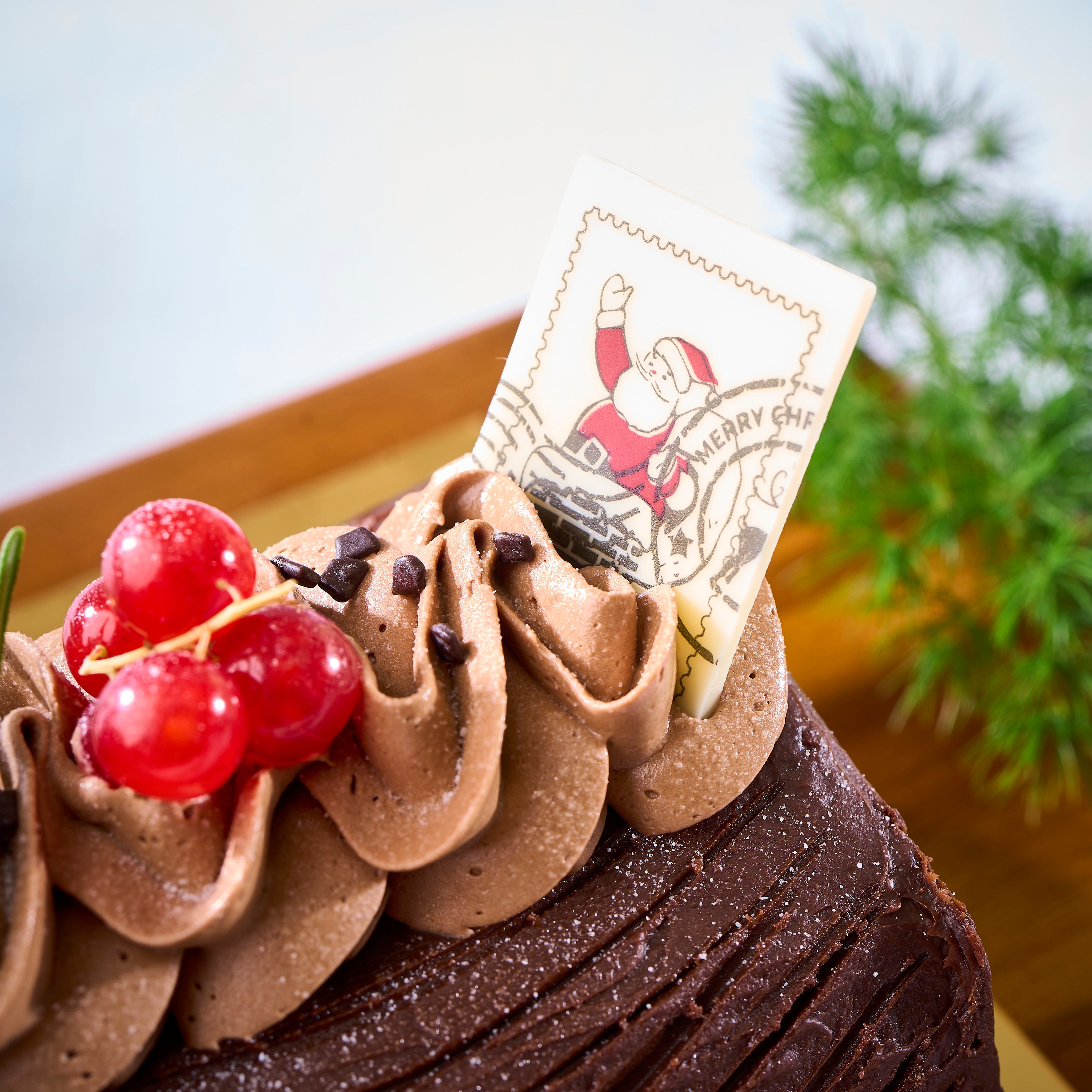 Chocolate Cherry Swirl Log Cake