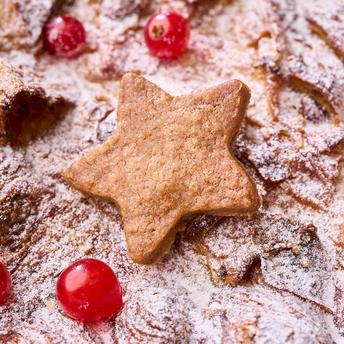 Close-up of a Christmas gingerbread star and cranberry on the sugar-dusted pudding