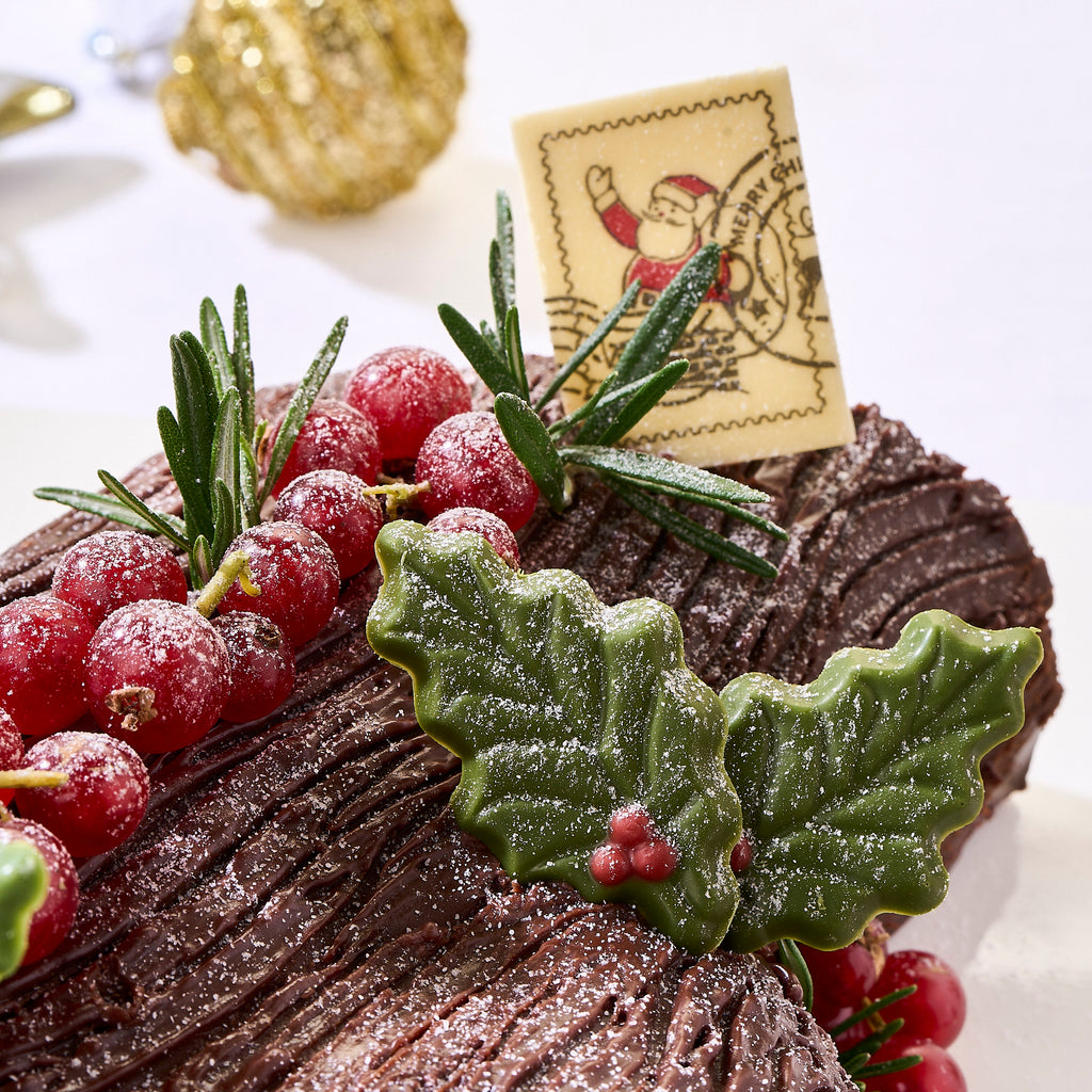 Chocolate Yuzu Log Cake