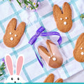 Easter Bunny Cookie Gift Pack