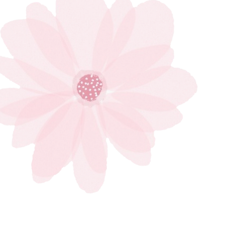 Mother's Day Dessert Gift Box  |  Box of 5