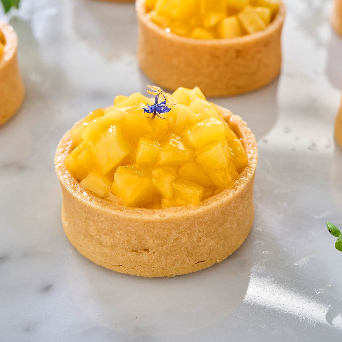 Topped with a delicate edible flower petal