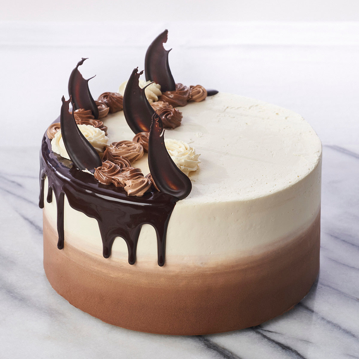 Chocolate Crunch Ombre Cake