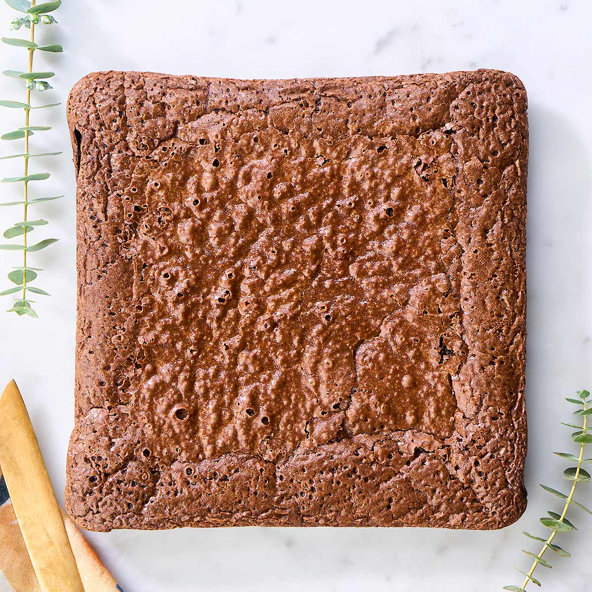 Crackly Top Brownie