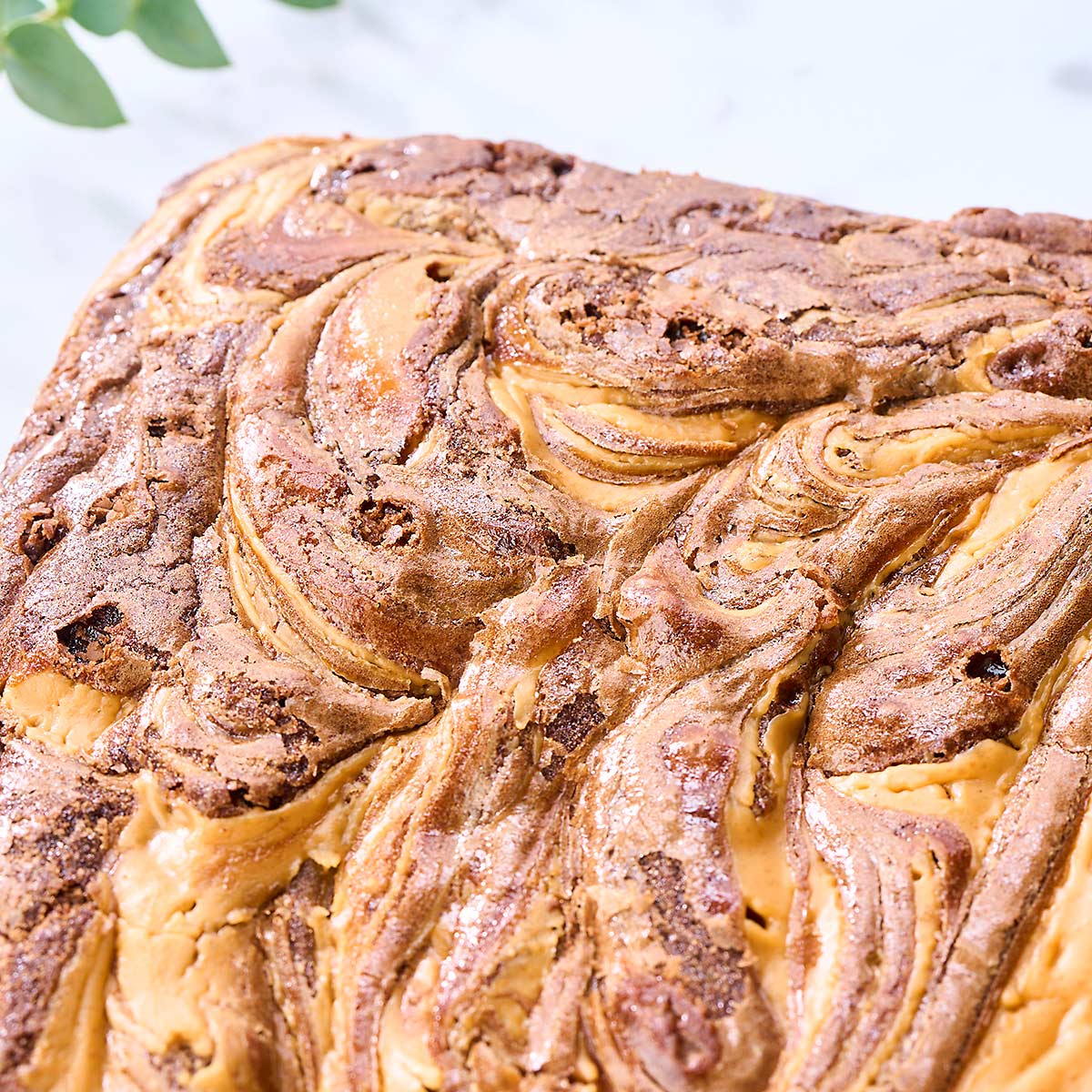 Peanut Butter Brownie