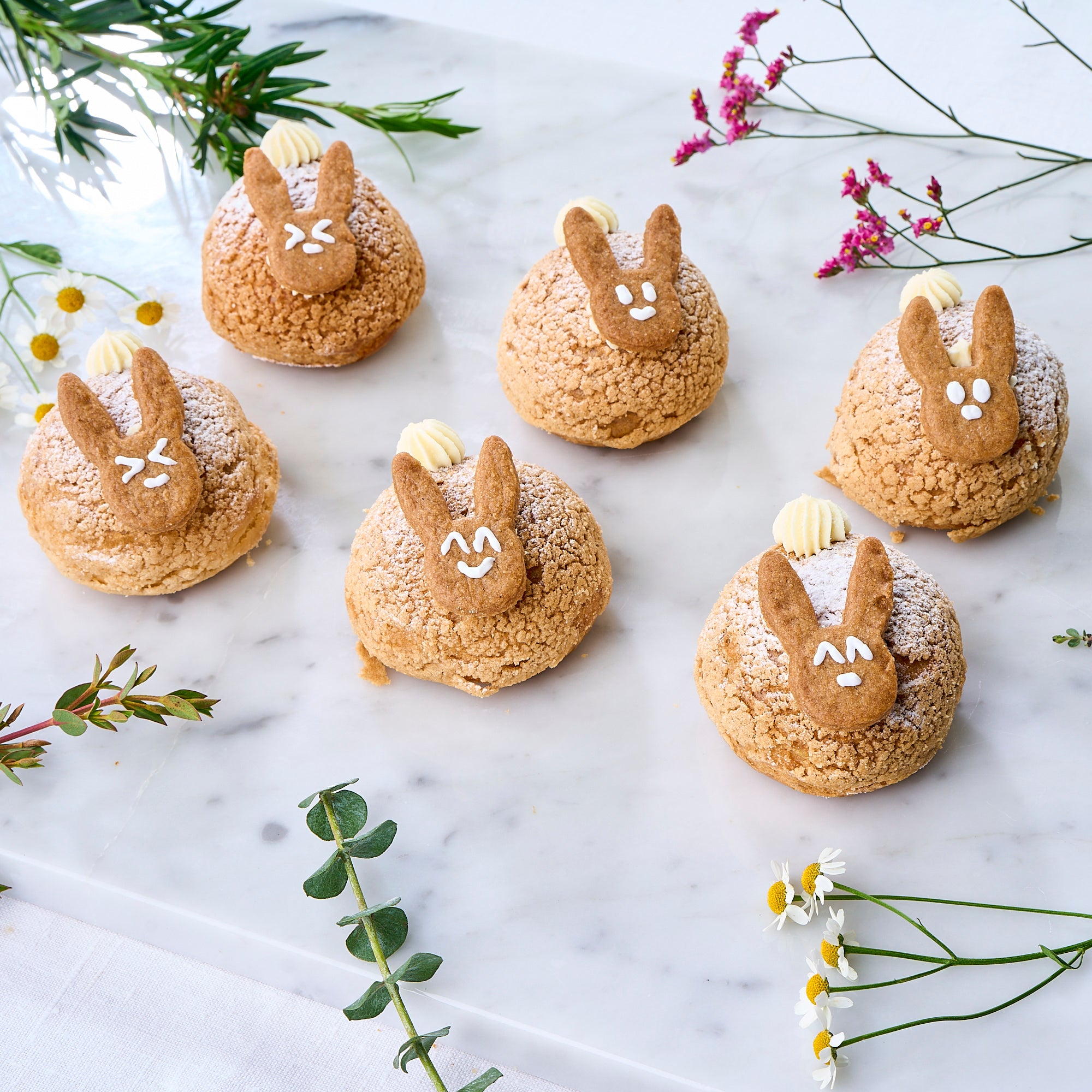 Petite Rabbit Gianduja Chocolate Choux (Box of 6)